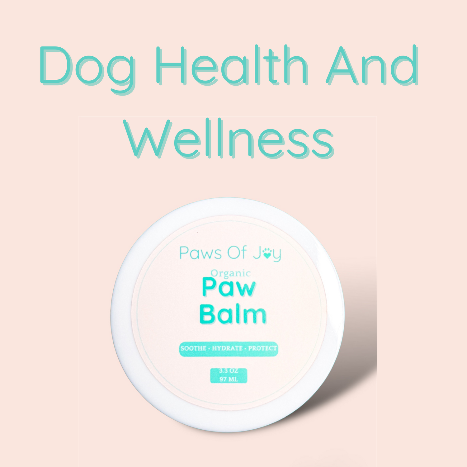 Dog Health And Wellness