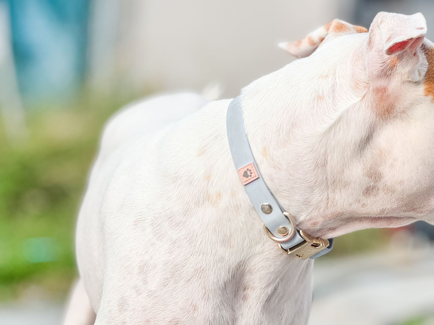 Collar azul serenidad 