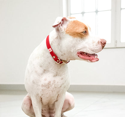 CRIMSON RED WATERPROOF COLLAR