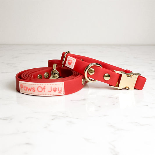 CRIMSON RED – COLLAR & LEASH SET