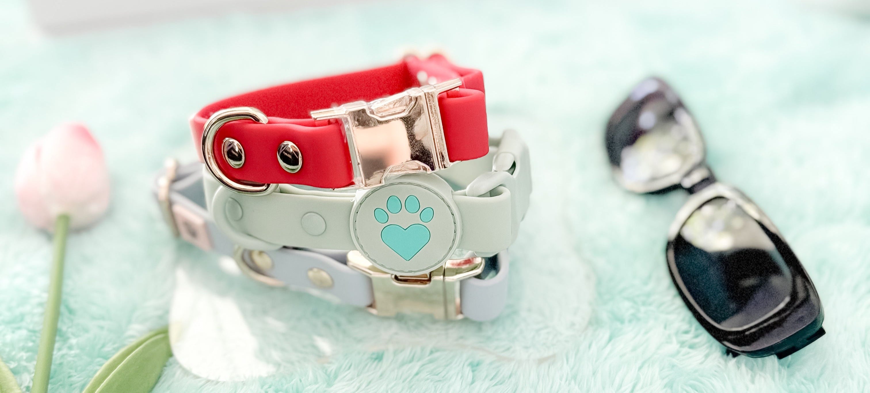 Pet collar with a heart-shaped tag on a light blue surface with a pink flower.